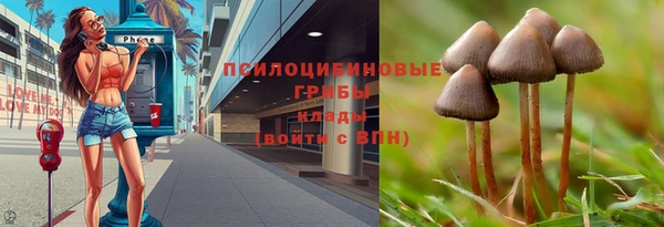 не бодяженный Аркадак