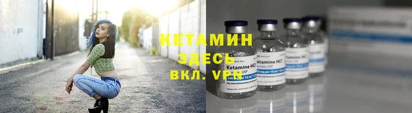 шишки Армянск